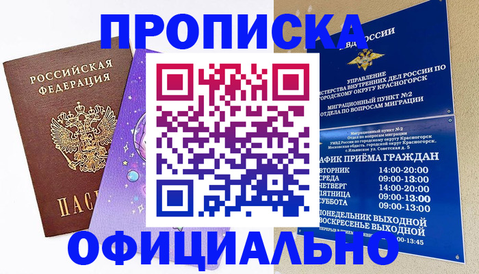 временная регистрация собственник в Амурской области